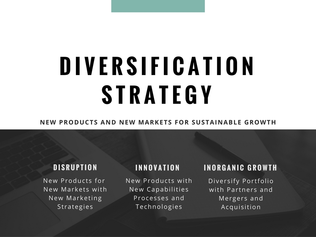 diversification strategy in business plan