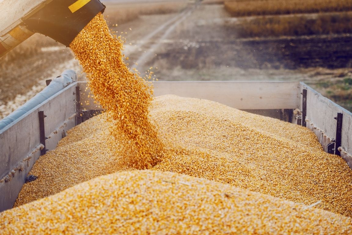 How To Minimize Safety Hazards When Handling Grain