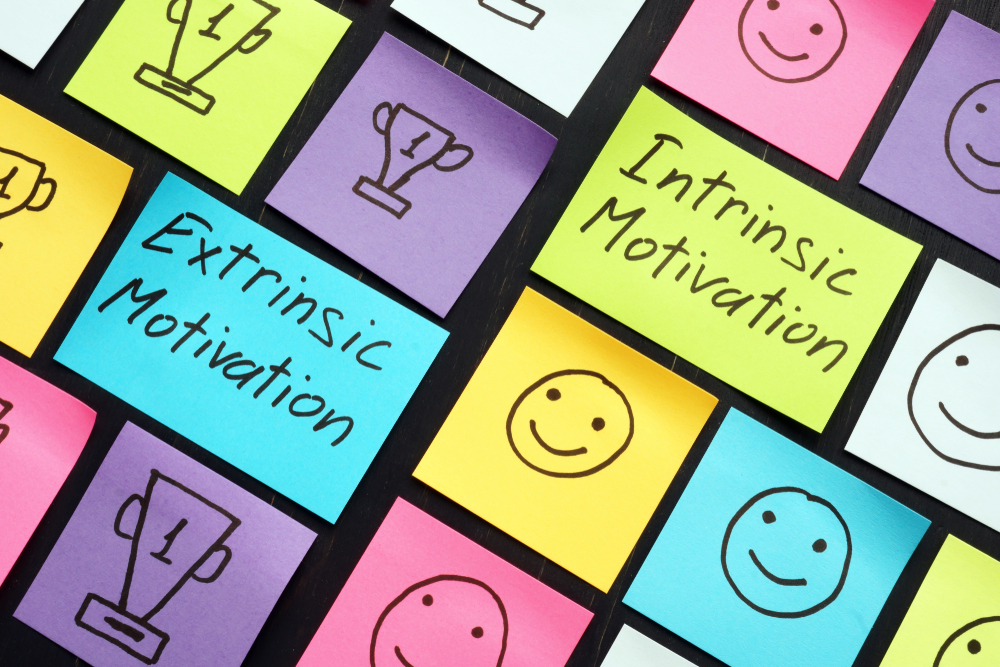 Intrinsic vs. Extrinsic Motivation in the Business World